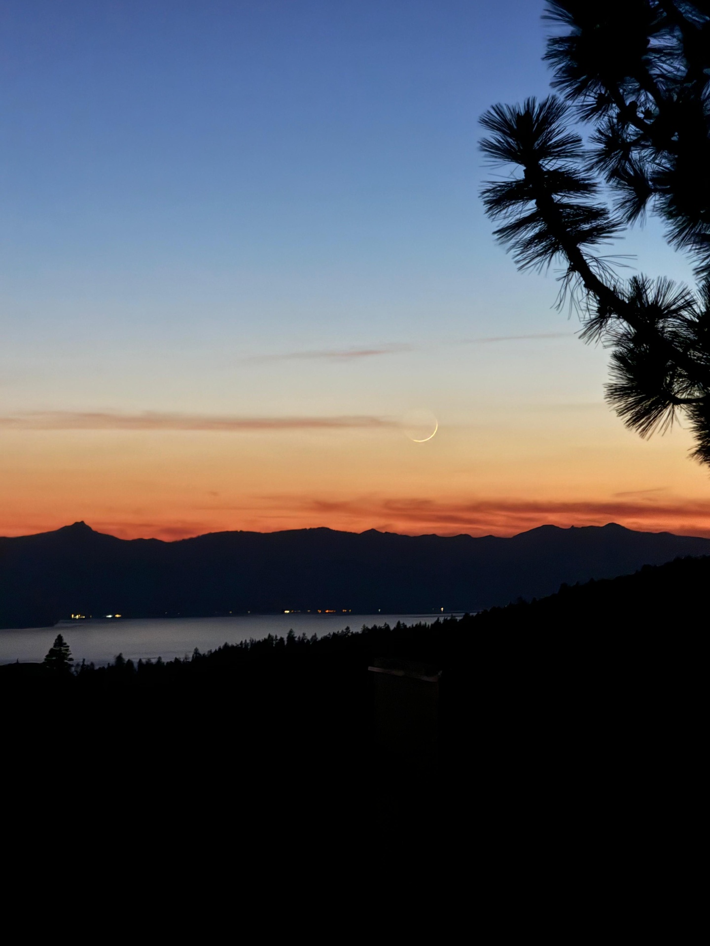 Sunset over Lake Tahoe framed by pine silhouettes